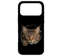 Majestic Maine Cat Amber Eyes Peeking Through Case for iPhone 17 Pro Max