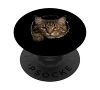 Majestic Maine Cat Amber Eyes Peeking Through PopSockets Adhesive PopGrip