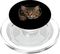Majestic Maine Cat Amber Eyes Peeking Through PopSockets PopGrip for MagSafe