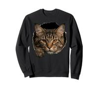Majestic Maine Cat Amber Eyes Peeking Through Sweatshirt