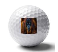 Majestic Orangutan Monkey Funny Printed Golf Ball Personalized Practice Balls Cool Accessories Gifts for Golfers Dads Men Women