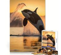 Majestic Orca Whale Killer 1000 Piece Jigsaws for Teenagers Puzzle DIY Fun Bright Hue Pattern Build Wall Accent (38x26cm)