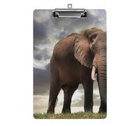 Majestic Rust Elephant A4 Acrylic Clipboard for Papers Writing Planner, Office Wall Mounted Large Capacity Organizer