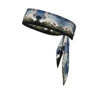 Majestic Tiger Resting on a Rock with Cloudy Sky Printed Sports Headband, Sweat-Wicking for Tennis Basketball Running, Unisex