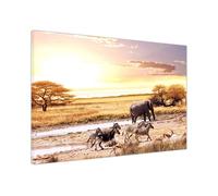 Majestic Zebras And An Enchanting Elephant The Ultimate Wildlife Gallery Framed Animal Wall Art Prints for Living Room, Bedroom, Hallway - Wildlife (102 x 76 cm - 40" x 30" inch)