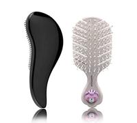 Majestique 2 Pcs Mini Hair Brush - Travel Detangling Brushes - Bio-Friendly Detangling Brush for Baby Kids, Women, Men - Small Hair Brush- Pocket Pro, for Curly Hair, Wet Dry Hair Brush (Multicolor)