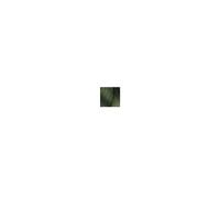 MAJIREL Ionene G Colour Cream #Green 60 ml