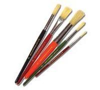 Major Brushes Hog Bristle Short Brushes Assorted Pack of 5