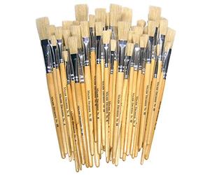 Major Brushes Hog Bristle Short Flat Brushes - Assorted Pack of 60