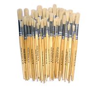 Major Brushes Hog Bristle Short Round Brushes - Assorted Pack of 60