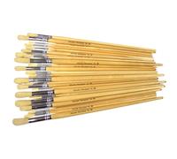 Major Brushes Assorted Hog Bristle Long Round Brushes Pack of 60