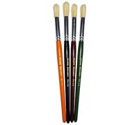 Major Brushes Hog Short Round Size 12C Pack of 4