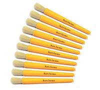 Major Brushes Junior Chubby Brush Pack of 10