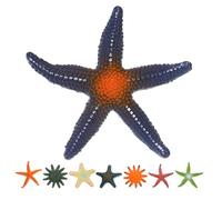 MAJORMENCH 8pcs Lightweight Pvc Sea Star Figurines Realistic Ocean Animal Models for Pool Beach Pirate Games Educational Pretend Play and Sea Life Exploration