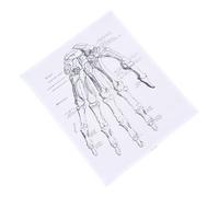 MAJORMENCH Human Hand Anatomy Poster and Understanding Internal Structure for Optimum Learning on Chemical Fiber Canvas Educational Chart Suitable for School and Classroom Decor