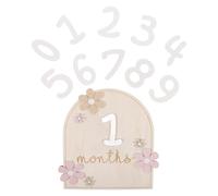MAJORMENCH Month Milestone Newborn Photo Props Sign Monthly Photo Cards Flower Wooden Growth Signs Monthly Milestone Discs Wooden Newborn Keepsake Props
