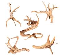 majoywoo Natural Driftwood for Aquarium Decor Fish Tank Decorations, Assorted Spider Wood Branch 4-8" 5 Pcs, Reptile Decor