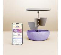 maju BPA-free bowl with 3 compartments + 1 nutritional assessment | Weight loss and food rebalancing | Airtight, freezer and dishwasher safe | Made in France (purple)