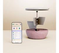 maju Pink BPA Free Bowl with 3 Compartments + 1 Nutrition Assessment | Weight Loss and Food Rebalancing | Airtight, Freezer and Dishwasher Safe | Made in France