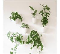 Make Good Virgo Self-Watering Wall Planters (Set of 6) - Lightweight and Easy to Install - Design Your Own Vertical Garden - Melamine Plastic
