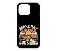Make Hay While The Sun Shines Optimistic Quotes |- Case for iPhone 16 Pro