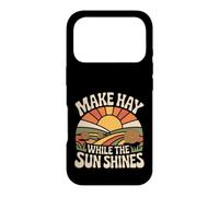 Make Hay While The Sun Shines Optimistic Quotes |- Case for iPhone 17 Pro