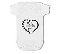 Make It Love It Sell It - My Big Sister Has Paws - Baby Body Suit, 3-6 Months, Girl or Boy, New Born to 24mth