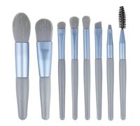 Make up Brushes,Blush Brush,Makeup Brushes Set,Makeup Brushes, 8 mini makeup brushes, convenient travel powder, eye shadow brush, multifunctional beauty tools(Blue)
