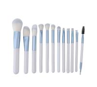 Makeup Brush Set, Thickened Aluminum Tube, Design, Fashionable and Elegant Color, Saves Time for Beginners & Enthusiasts, for Eye Shadow, Concealer, Blush, Foundation,