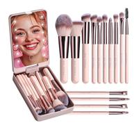 Makeup Brushes Foundation Powder Concealers Eye Shadows Travel Makeup Brush Set with LED light Mirror 14 Pcs Mini Makeup Brushes (PINK)