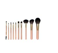Makeup Brushes Portable Makeup Brush Set Powder Blusher Concealer Eyebrow Horse Hair Eye Shadow for All Women(Pink)