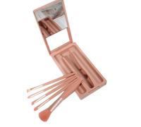 Makeup Brushes Set Easy-Taken Makeup Brush Set with Case and Mirror Small Cosmetic Brushes Perfect for Travel C