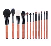 Makeup Brushes Sets Complete Set Of 12 Makeup Brushes For Repairing Facial Details for Flawless Looks