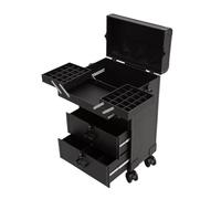 Makeup Case with Wheels, Travel Train Cosmetic Organizer with Storage Drawers, Aluminium Makeup Trolley for Artists