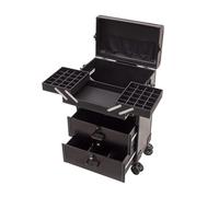 Makeup Case with Wheels, Travel Train Cosmetic Organizer with Storage Drawers, Aluminium Makeup Trolley for Artists