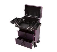 Makeup Case with Wheels, Travel Train Cosmetic Organizer with Storage Drawers, Aluminium Makeup Trolley for Artists