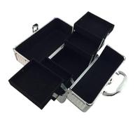 Makeup Train Case, Multi Tier Makeup Organizer Box Large Capacity Vanity Cases Cosmetic Box for Salon (Silver Strip Black Bottom)