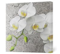Maki 3-Ply Flowery Tissue Paper Napkins Serviettes for Decoupage Lunch 33cm x 33cm - Pack of 20 (White Orchid on Concrete Background)
