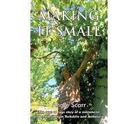 Making It Small: The rags to rags story of a miniaturist and self builder in Yorkshire and Andalucia: The rags to rags story of a miniaturist and self builder in Yorkshire and Andalucía