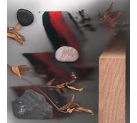 Making Time - Jamie Woon CD