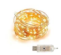 Makion Led Fairy Lights, 10M 100 LED 8 Modes USB Operated Copper Wire String Lights for Home Party Birthday Garden Festival Wedding Holidays Indoor Outdoor Use(Warm White)