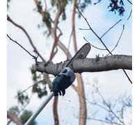 Makita DUA301 Twin 18v LXT Cordless Brushless Telescopic Pole Saw No Batteries No Charger