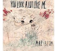 Mal Blum - You Look A Lot Like Me