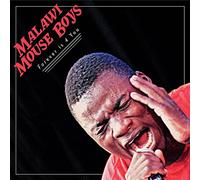 Malawi Mouse Boys - Forever Is 4 You