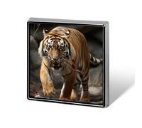 Malayan Tiger Brooches And Pins for Women Men Funny Hat Brooch Fashion Lapel Pin Cool Square Badge Brooch Metal Button Pins Cute Pin for Backpacks Tie Suit Wedding Party Accessory