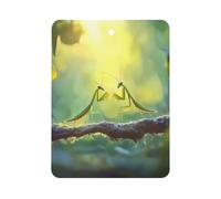 Malaysia Praying Mantis Insect Car Air Freshener Decorative Hanging Aromatherapy Tablets for Car Trucks Square