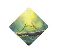 Malaysia Praying Mantis Insect Car Air Freshener Decorative Hanging Aromatherapy Tablets for Car Trucks Rhombus