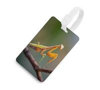 Malaysia Praying Mantis Insect Luggage Tags for Suitcases Cute ID Tags Travel Baggage Tag Name Tags for Women Men