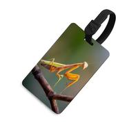 Malaysia Praying Mantis Insect Luggage Tags for Suitcases Cute ID Tags Travel Baggage Tag Name Tags for Women Men