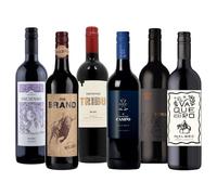 Malbec Red Wine Gift Set - 6 Bottle Selection | Perfect Wine Gift for Him or Her | Malbec Wine Mixed Case